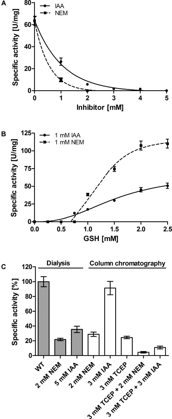 FIGURE 9