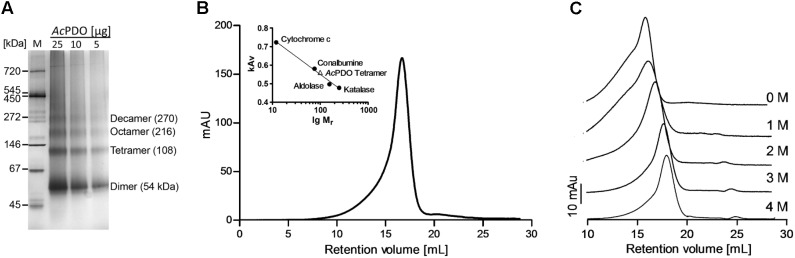 FIGURE 4