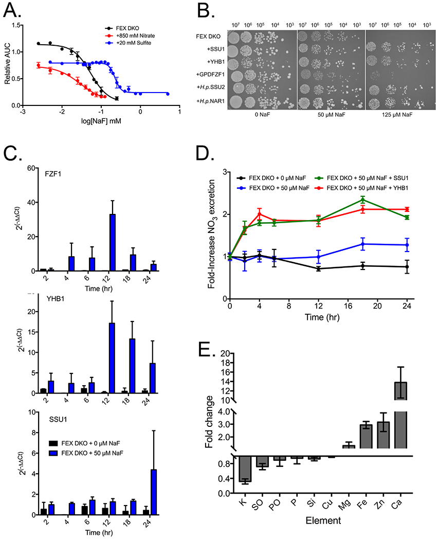 Figure 3: