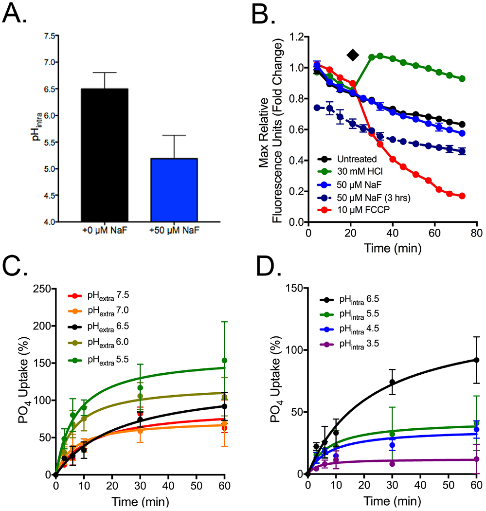 Figure 7: