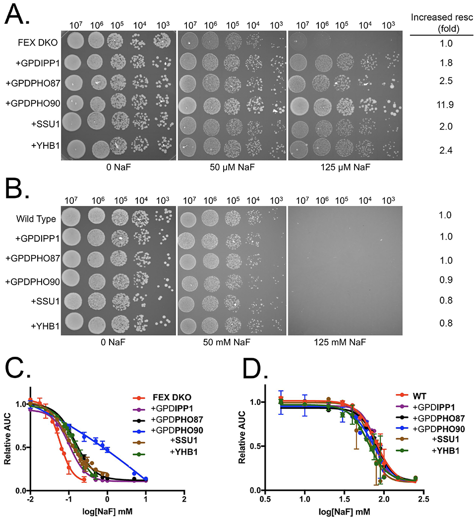 Figure 2: