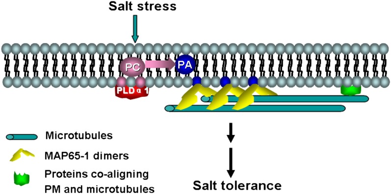 Figure 13.