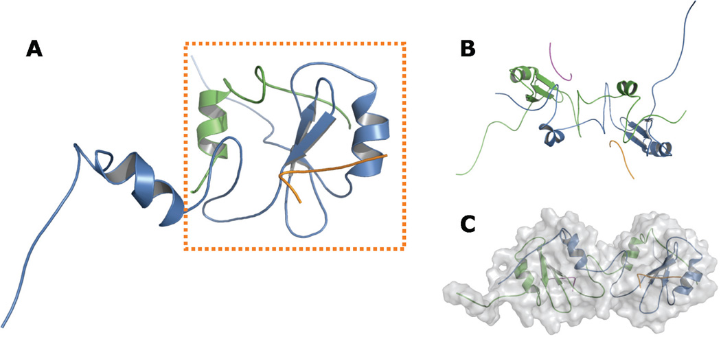 FIGURE 3