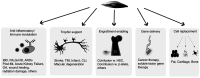 <b>FIG. 1.</b>