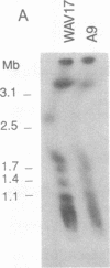 1082