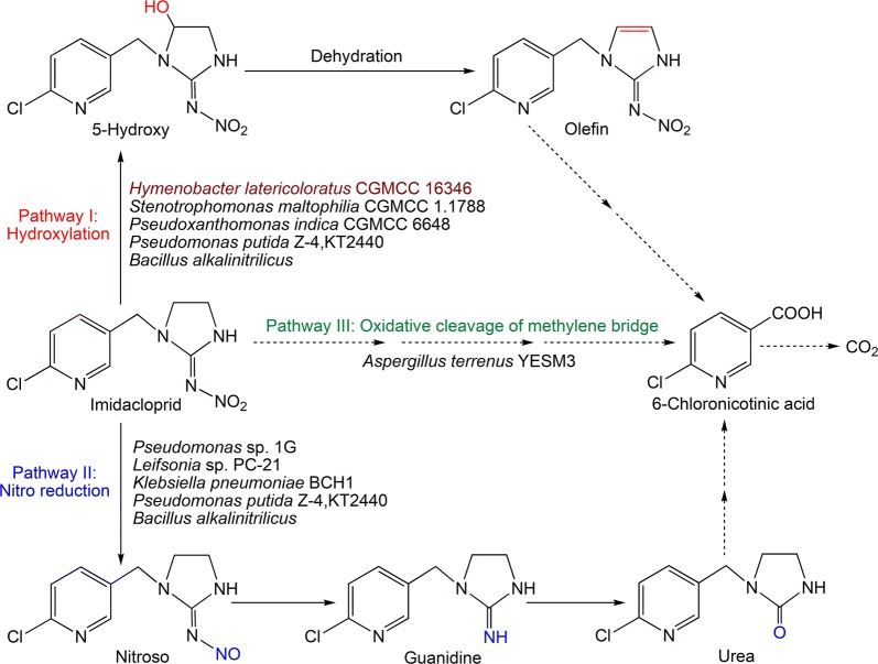 Fig. 1