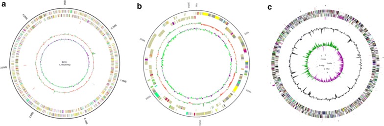 Fig. 6