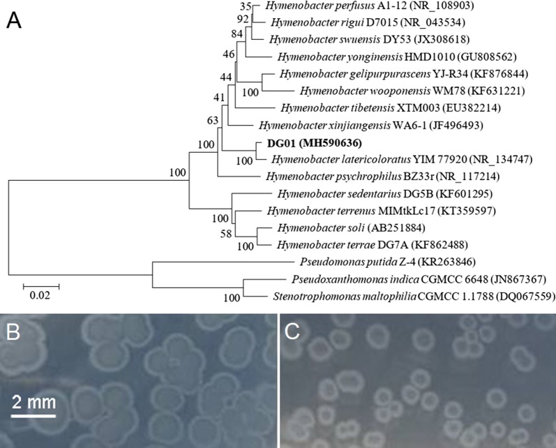 Fig. 2