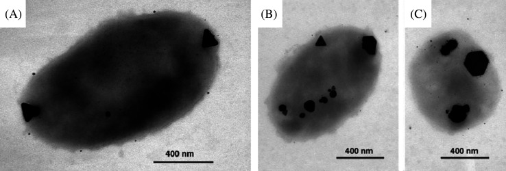 Fig. 15