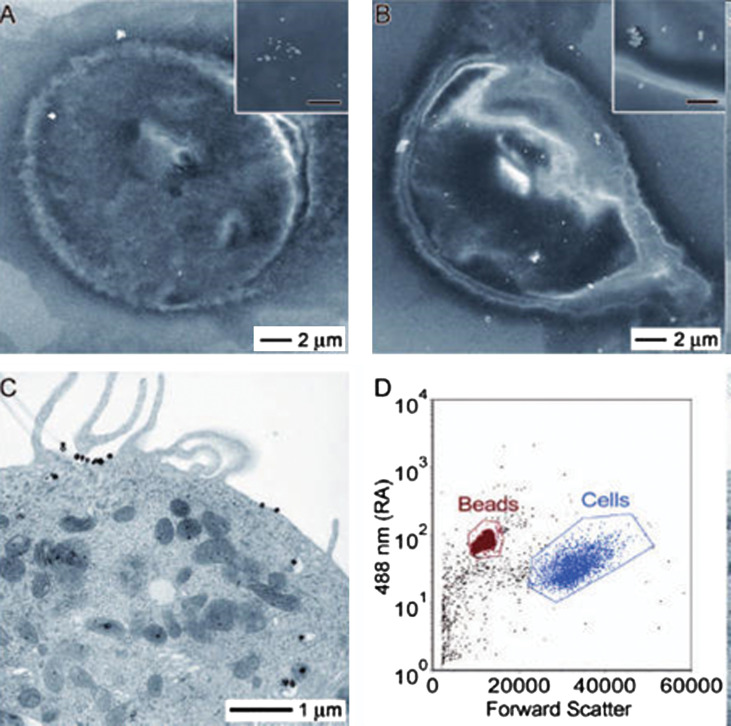 Fig. 39