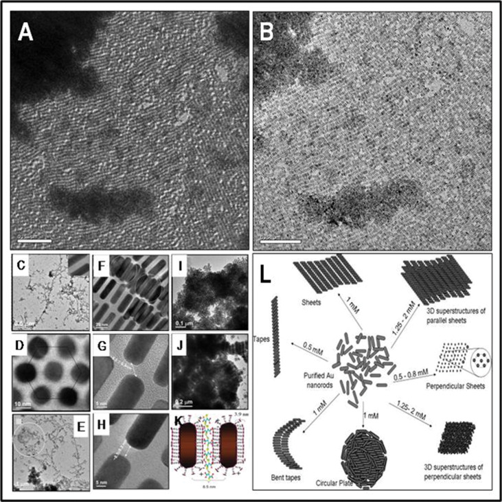 Fig. 29