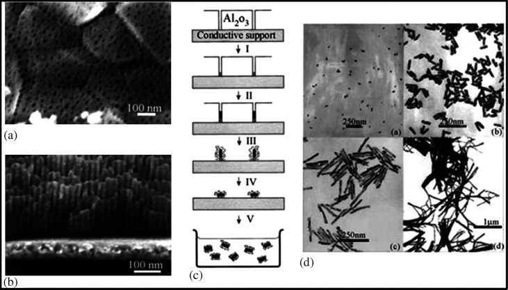 Fig. 24