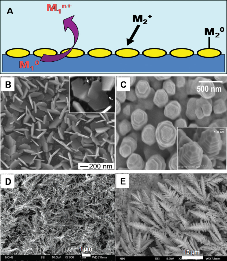 Fig. 19