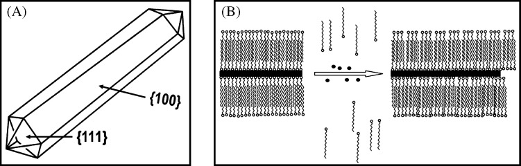 Fig. 9