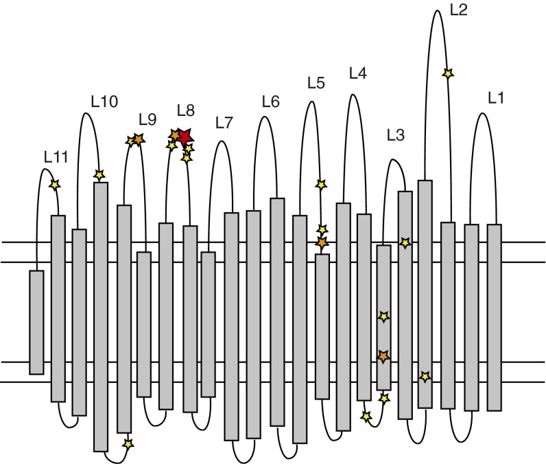 Fig. 4.