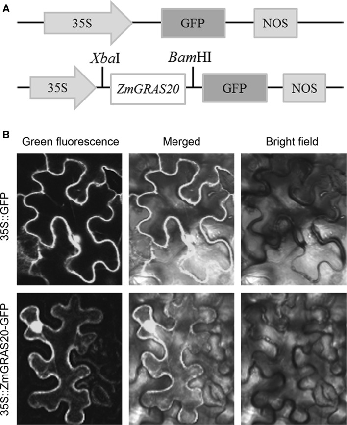 Fig. 3