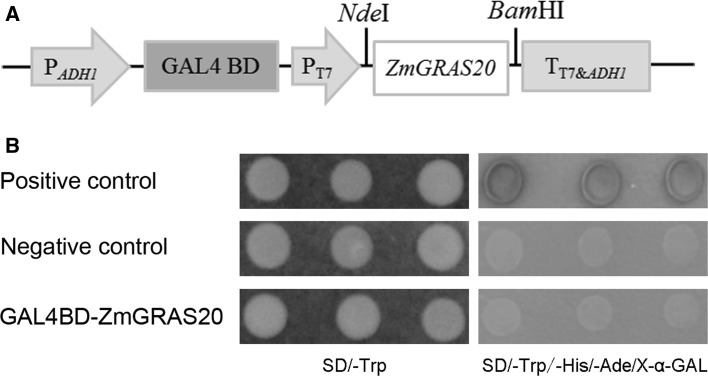 Fig. 4