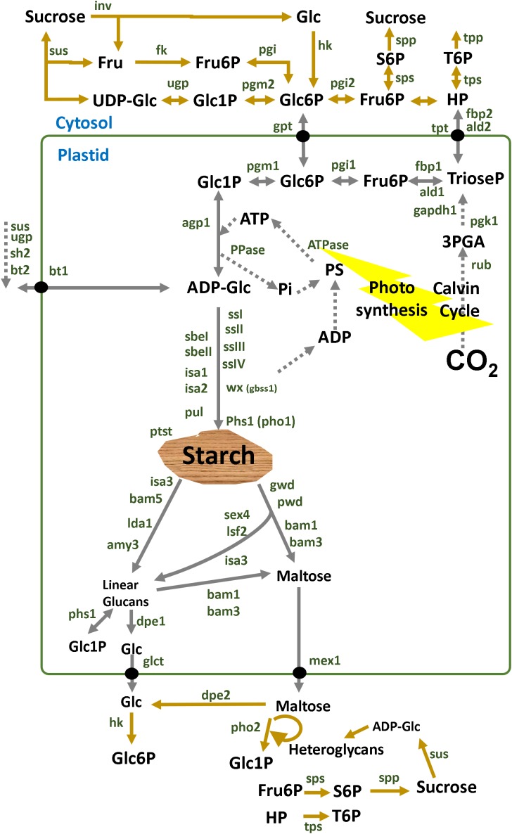 Figure 1