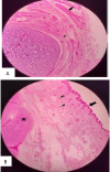 Fig 5