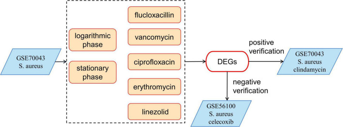 FIGURE 1