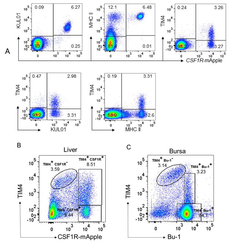 Figure 5