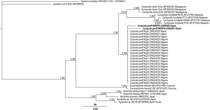 Fig. 3