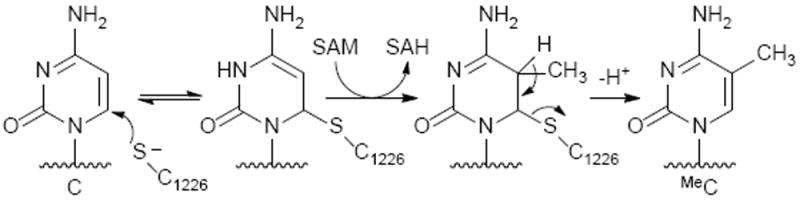 Scheme 3