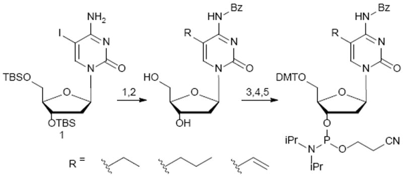 Scheme 2