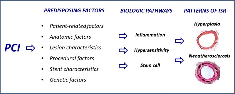 Graphical Abstract