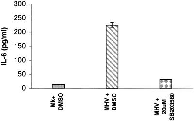 FIG. 5.