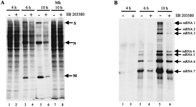 FIG. 9.