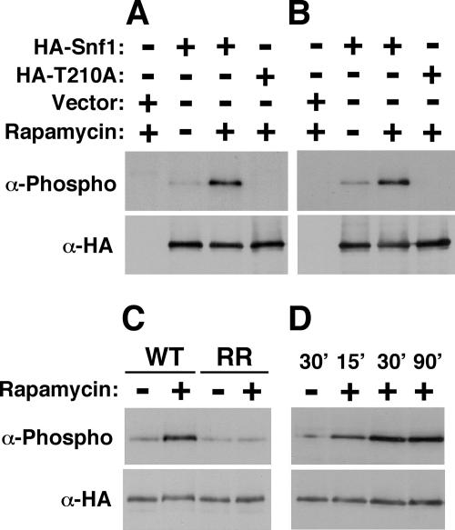 FIG. 5.