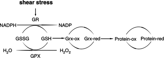 FIG. 6.