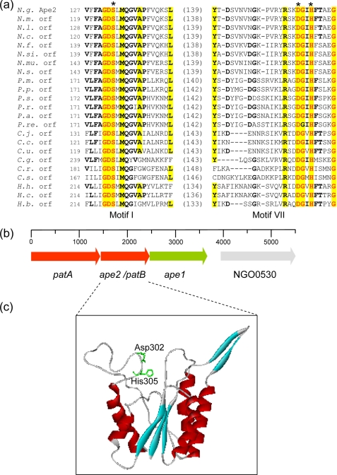 FIGURE 2.