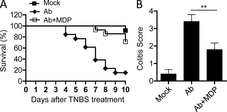 Figure 10.