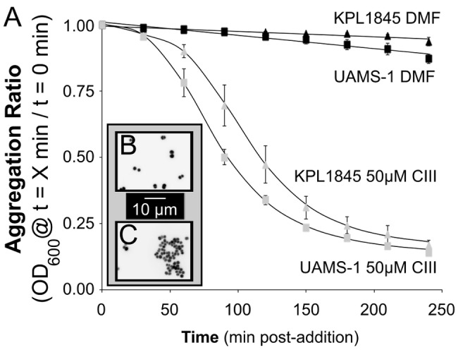 FIG 4 