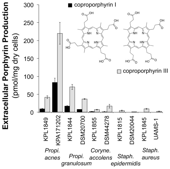 FIG 3 