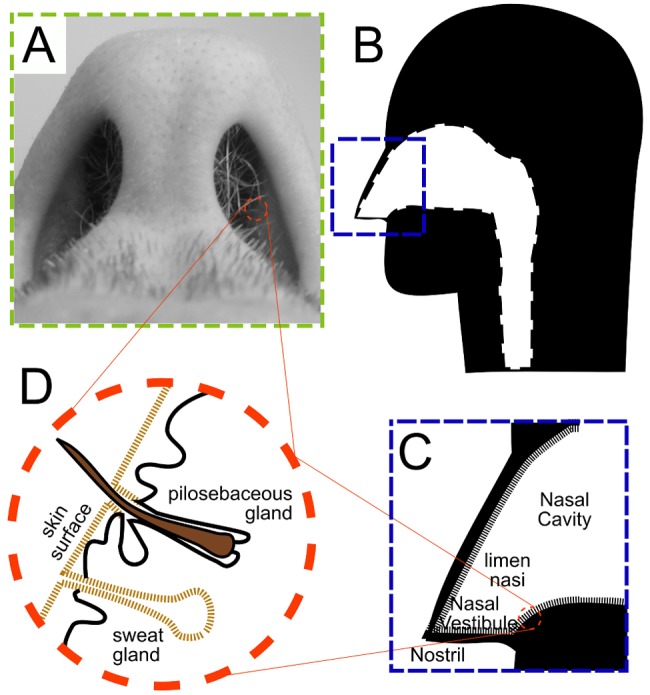 FIG 1 