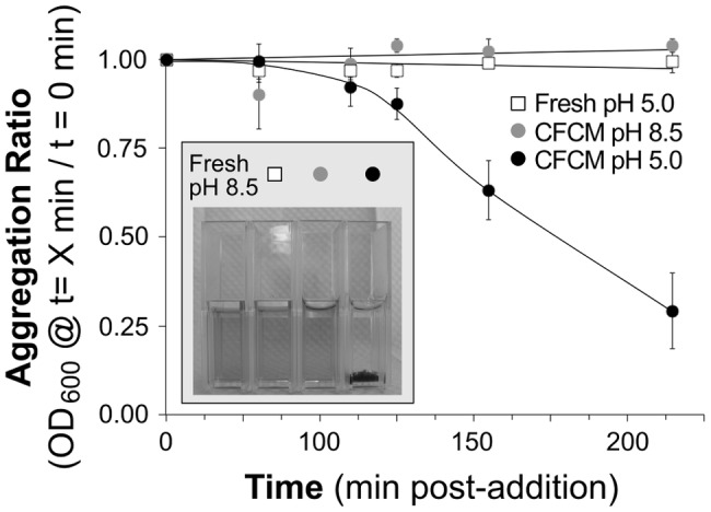 FIG 6 