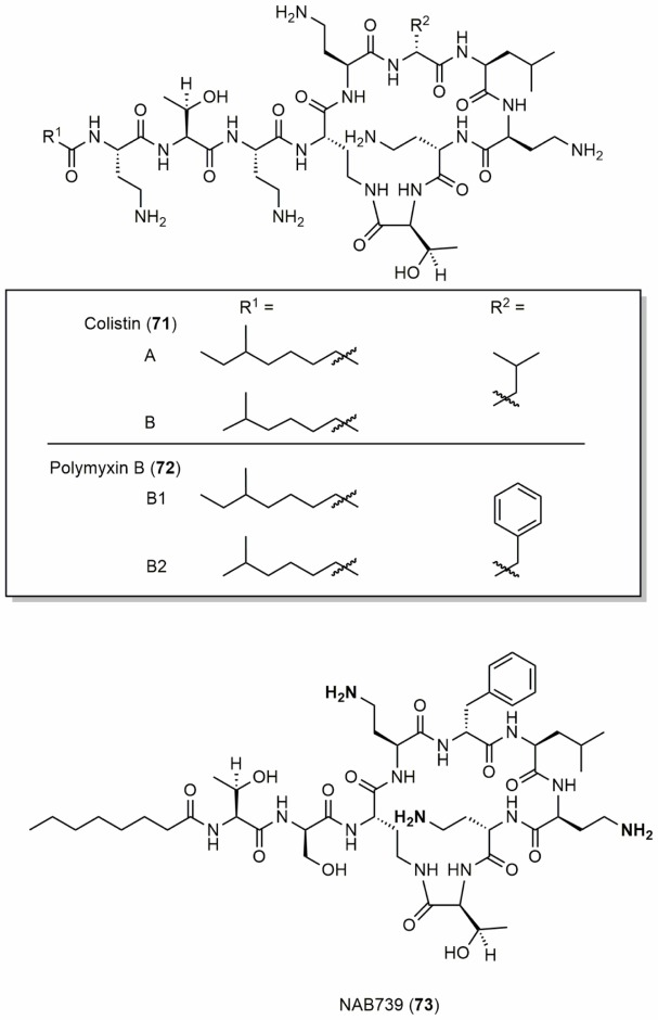 Figure 20