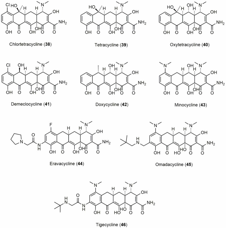 Figure 13