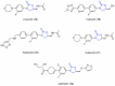 Figure 21