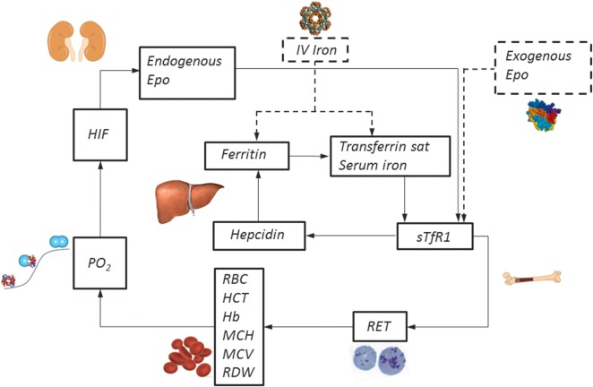 FIGURE 4: