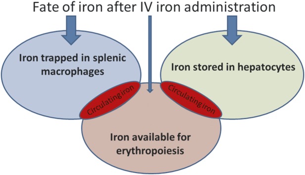 FIGURE 3: