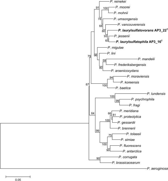 FIGURE 1