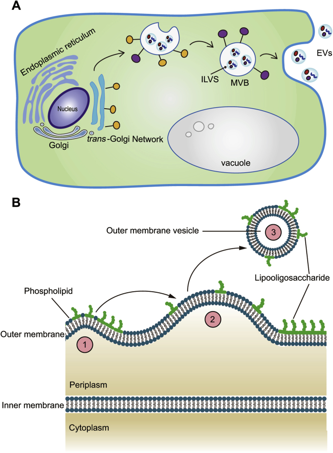 Figure 3