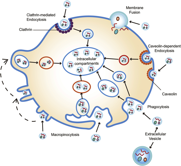 Figure 4