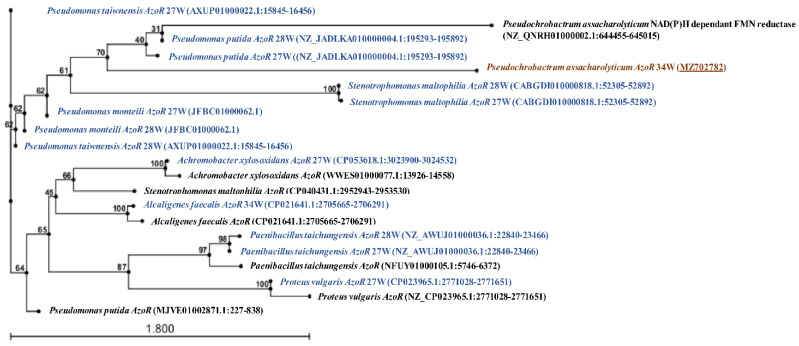 Figure 7