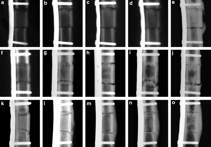 FIG. 5.