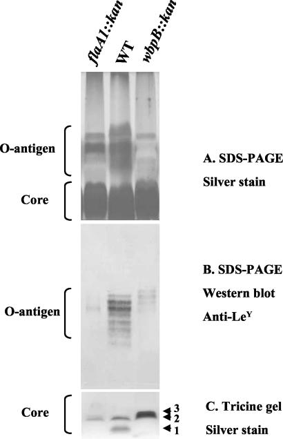 FIG. 4.